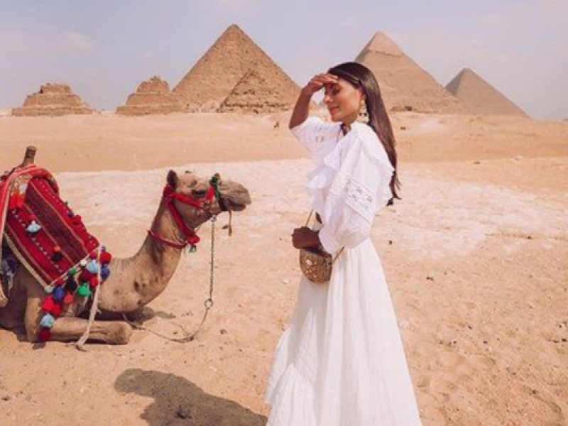 Seven Nights in Egypt