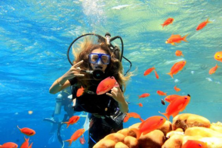 red sea diving resort